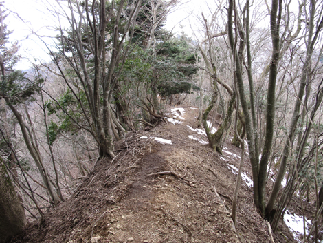 20170113hike (138)